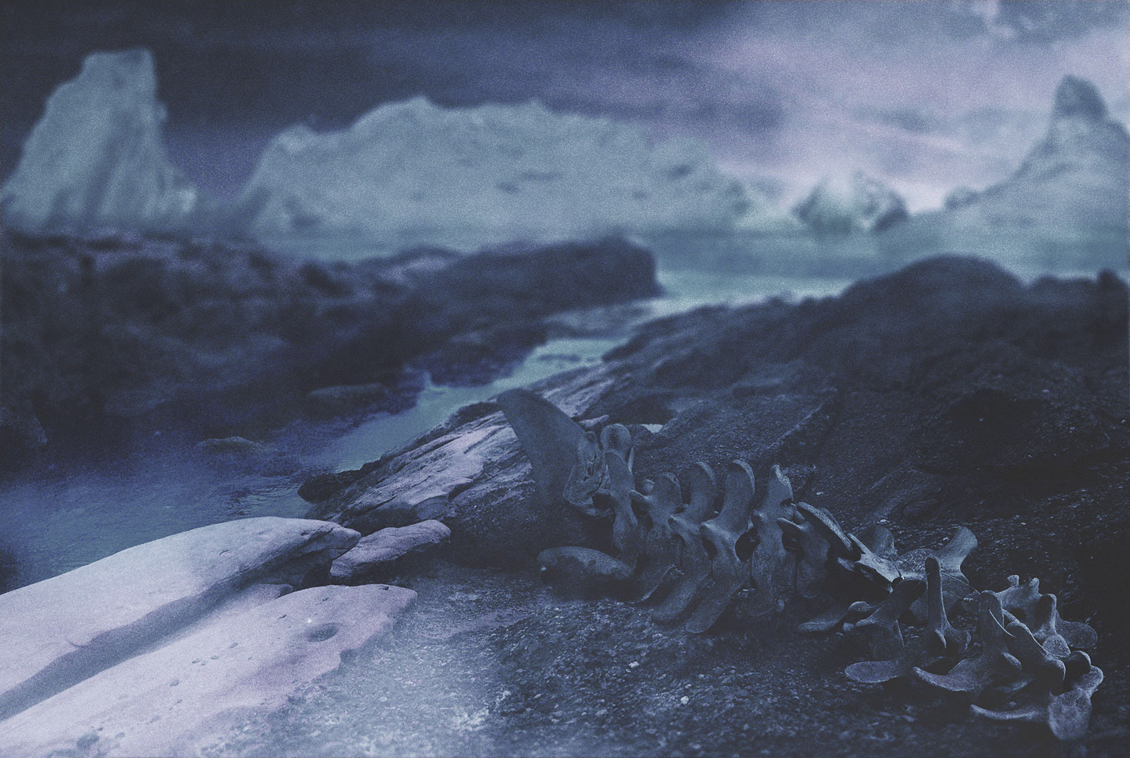 Rejection 08