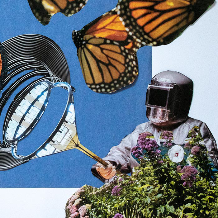 Detail: "You Caught Me By Surprise"