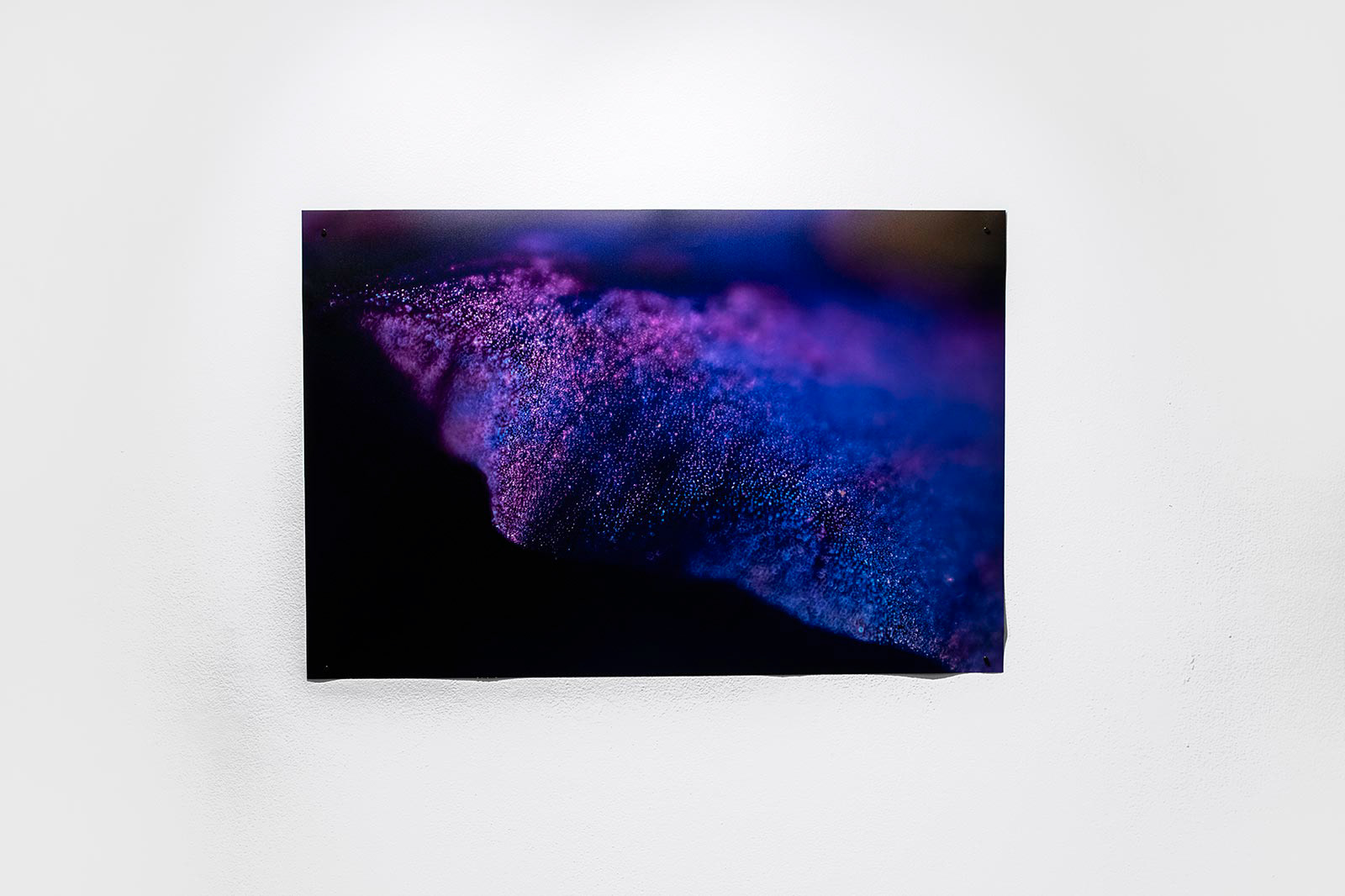 Installation View, "Ridgeline"