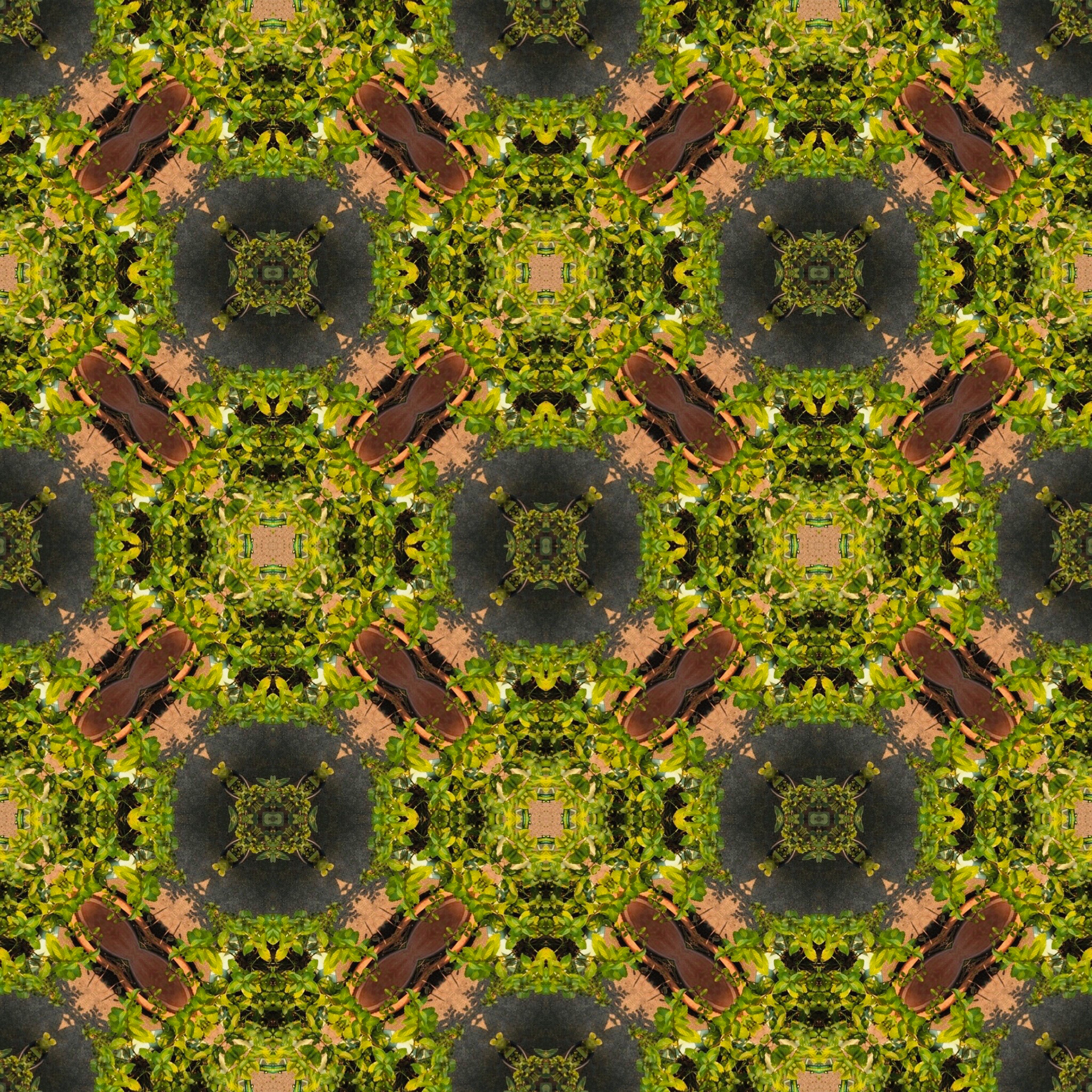 Patchwork of vegetation