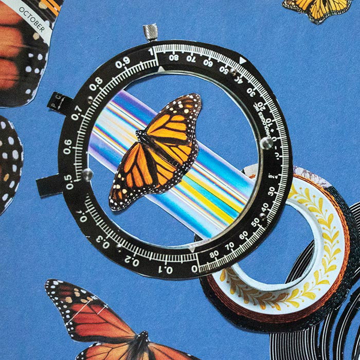 Detail: "You Caught Me By Surprise"