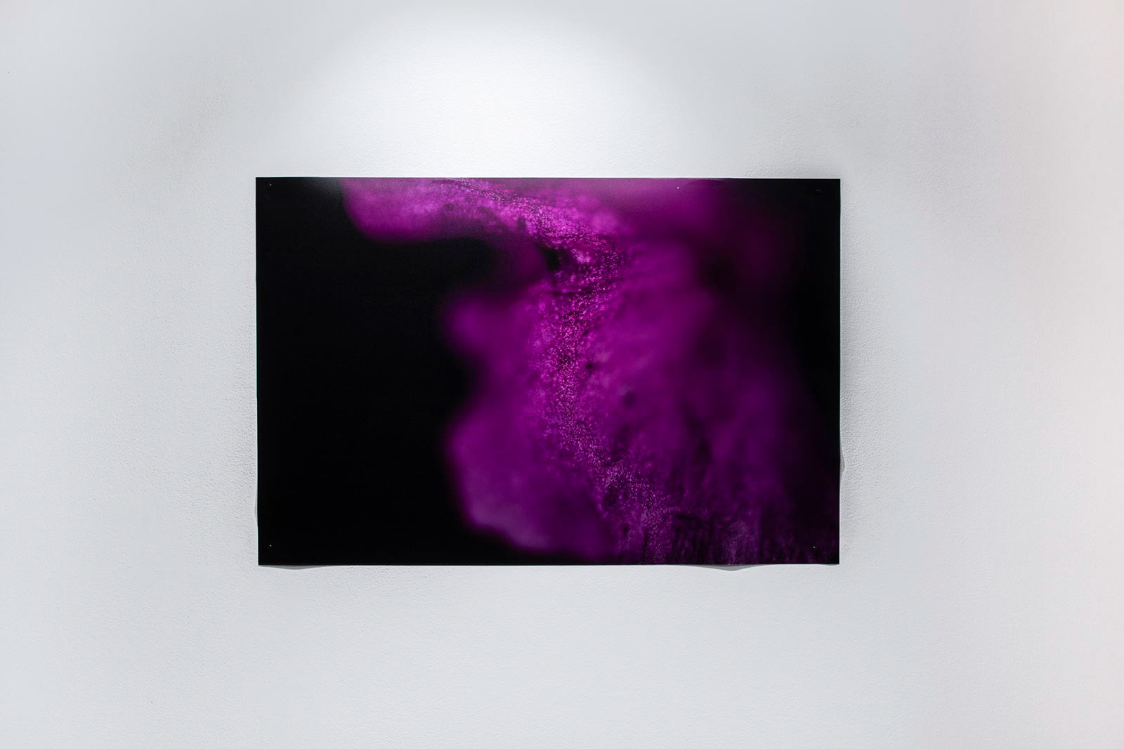 Installation View, "Untitled"