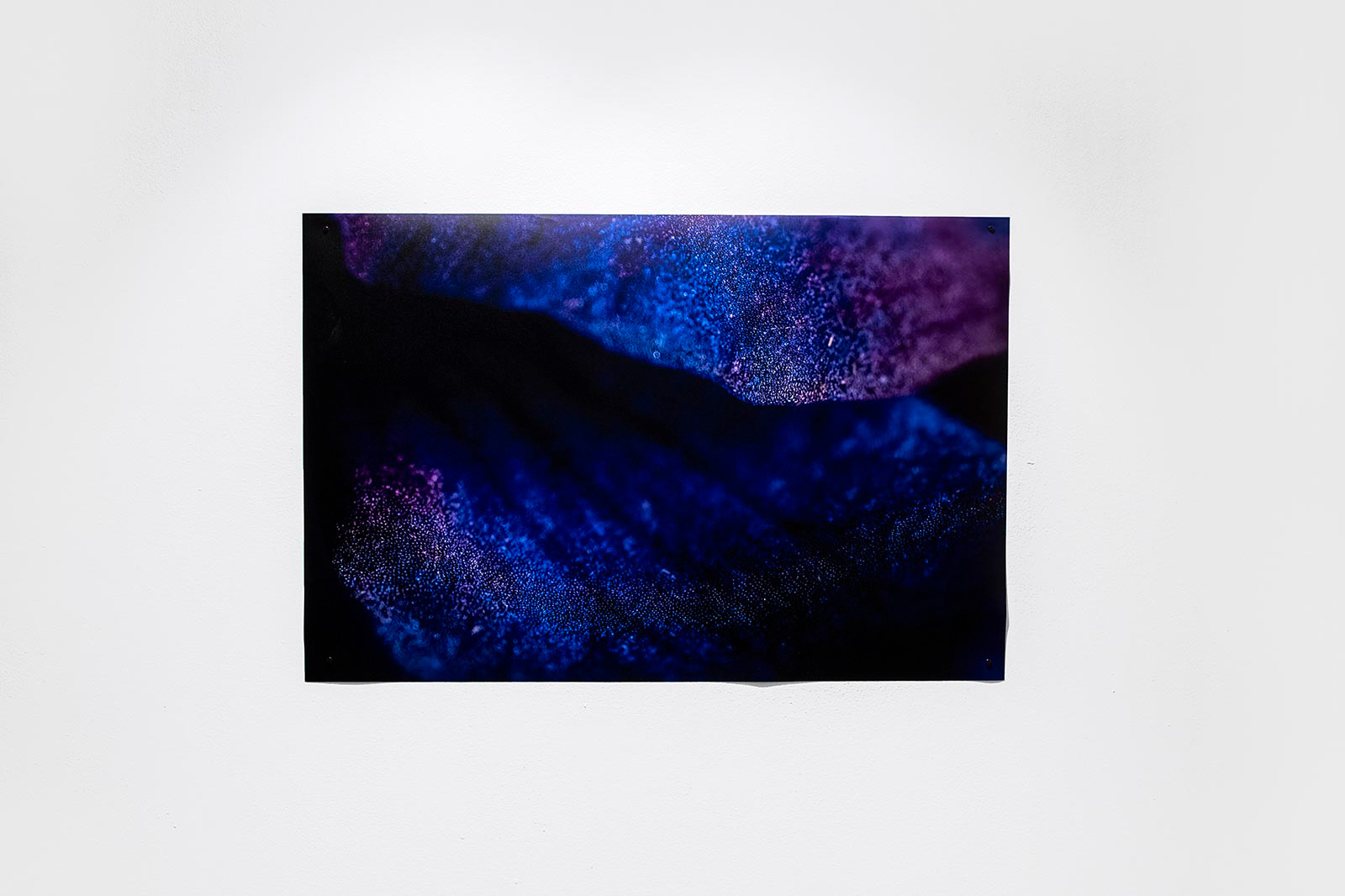 Installation View, "Bespoke in Blue"