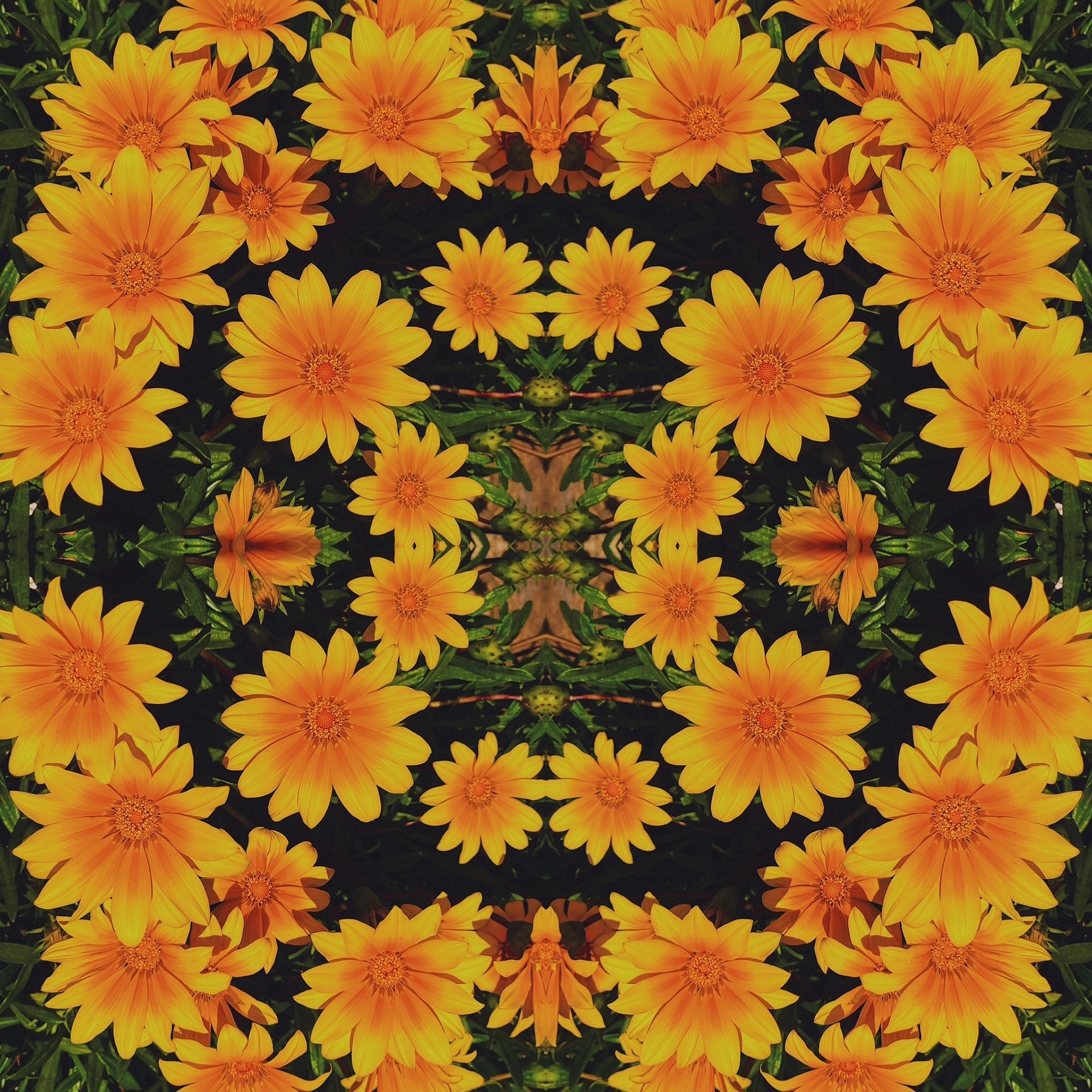 Patchwork of flowers