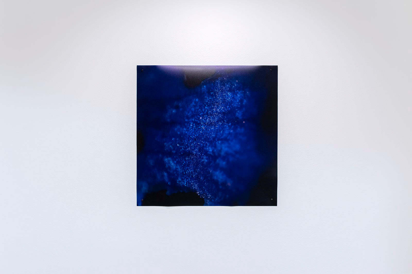 Installation View, "Mother of the Bride"