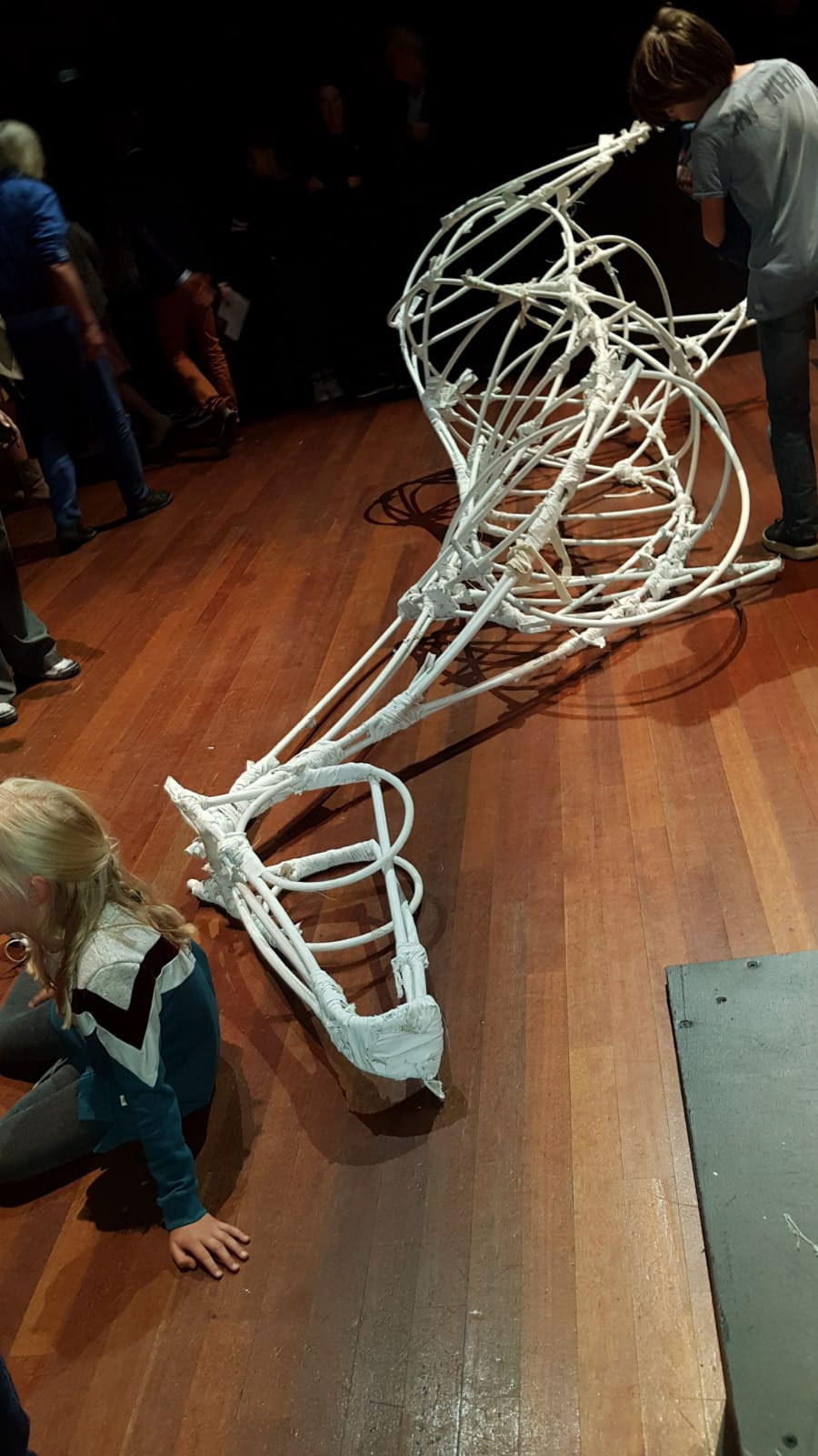 de vier heemskinderen