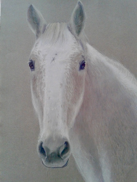 Portretopdracht Claessens 2014