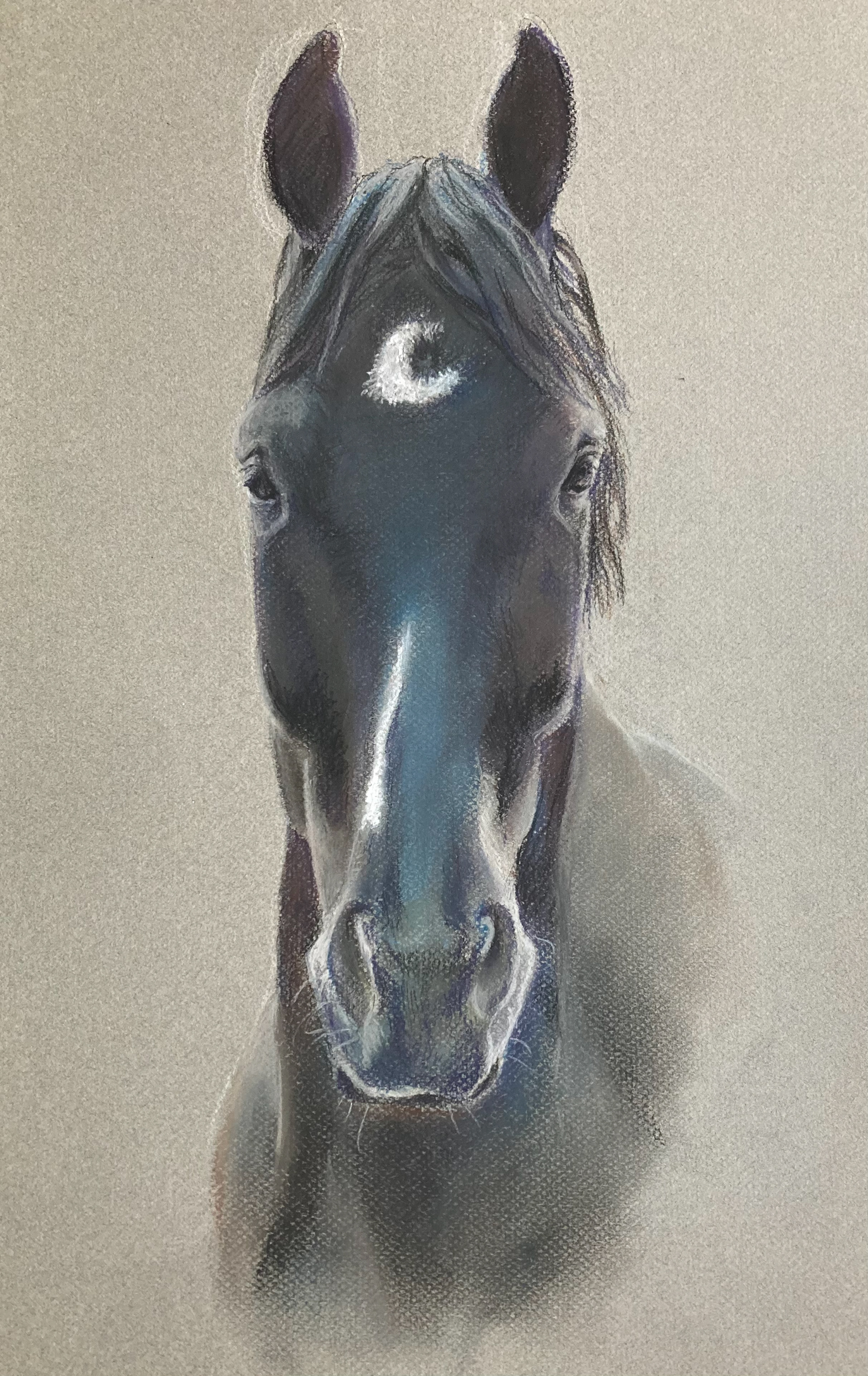 Portretopdracht Claessens 2023