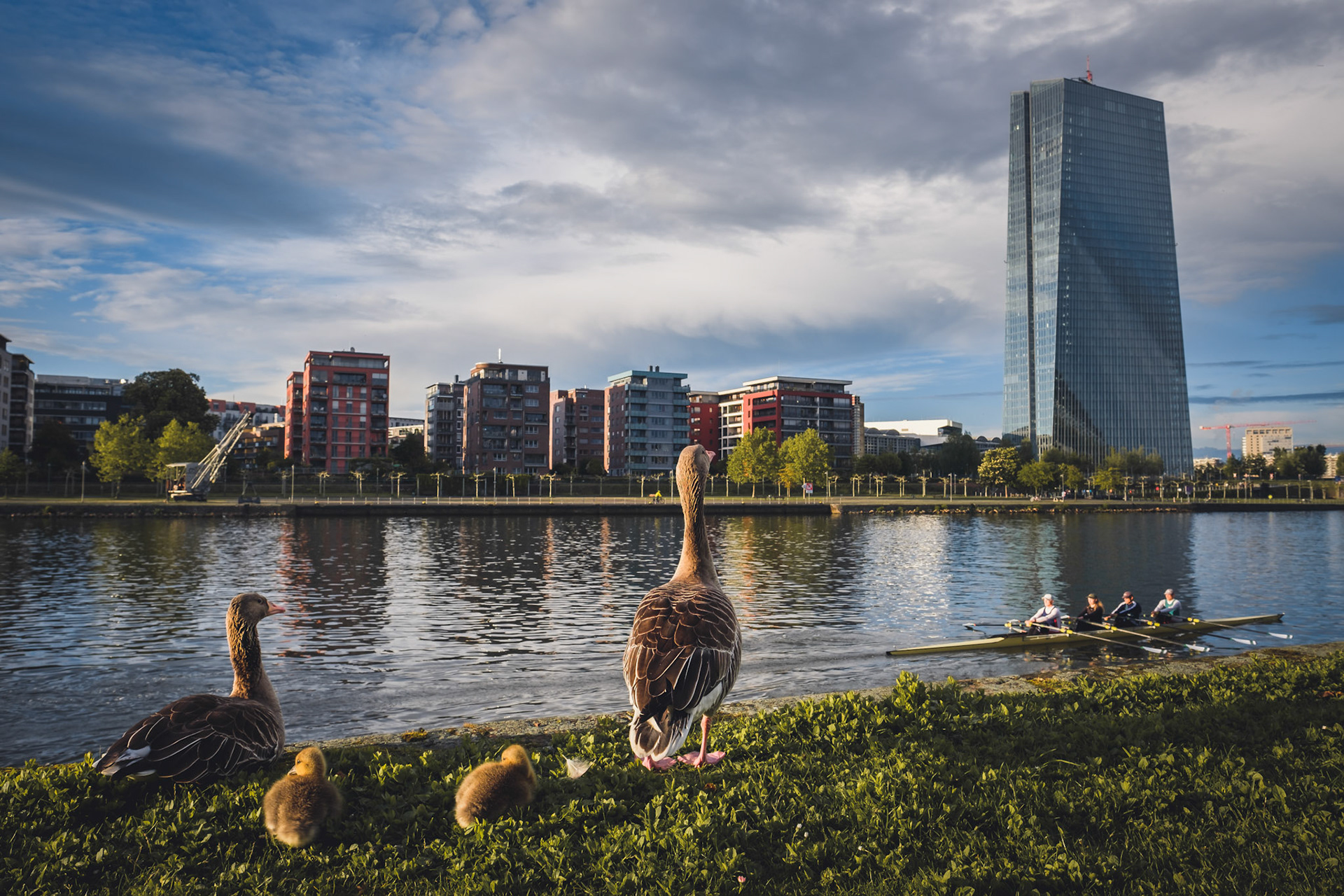 late spring in frankfurt am main