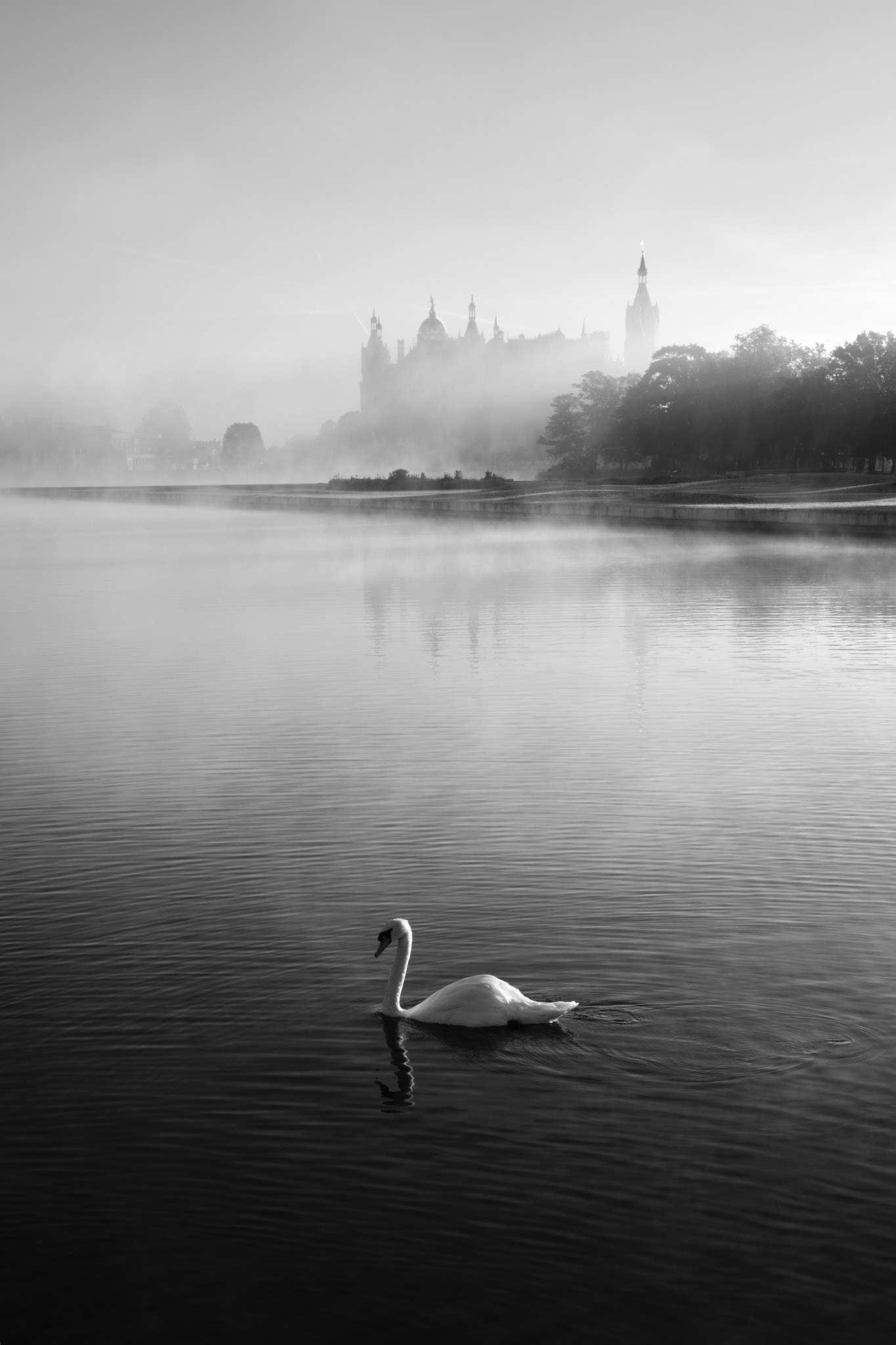 "inside the fogs, you think better and thus you see better!" - mehmet murat ildan