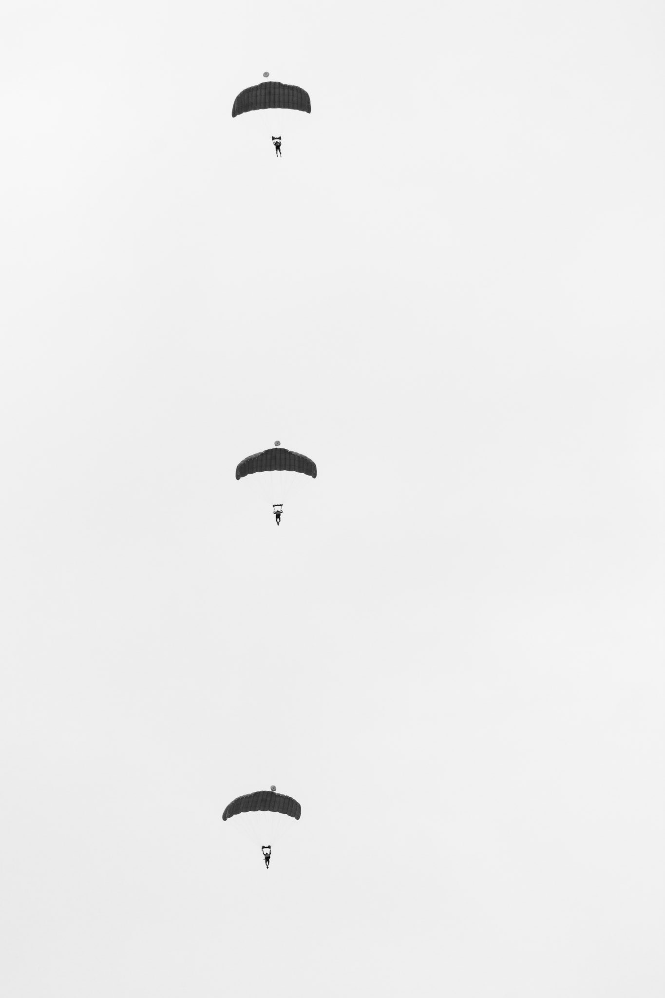 Three paratroopers during military demontration in Abu Dhabi, UAE.