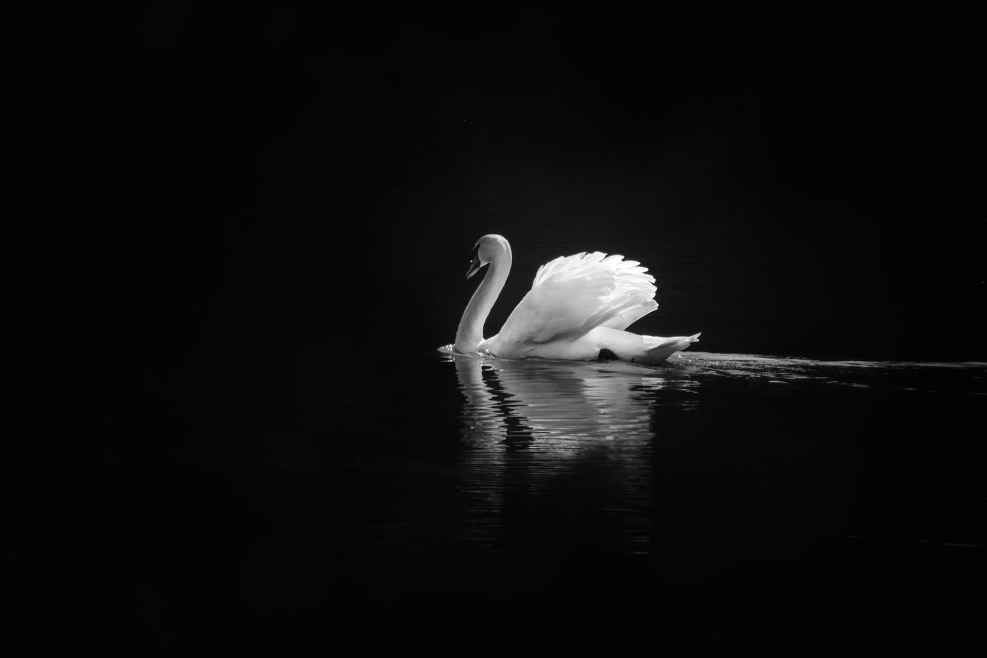 "elegance does not consist of putting on a new dress" - coco chanel