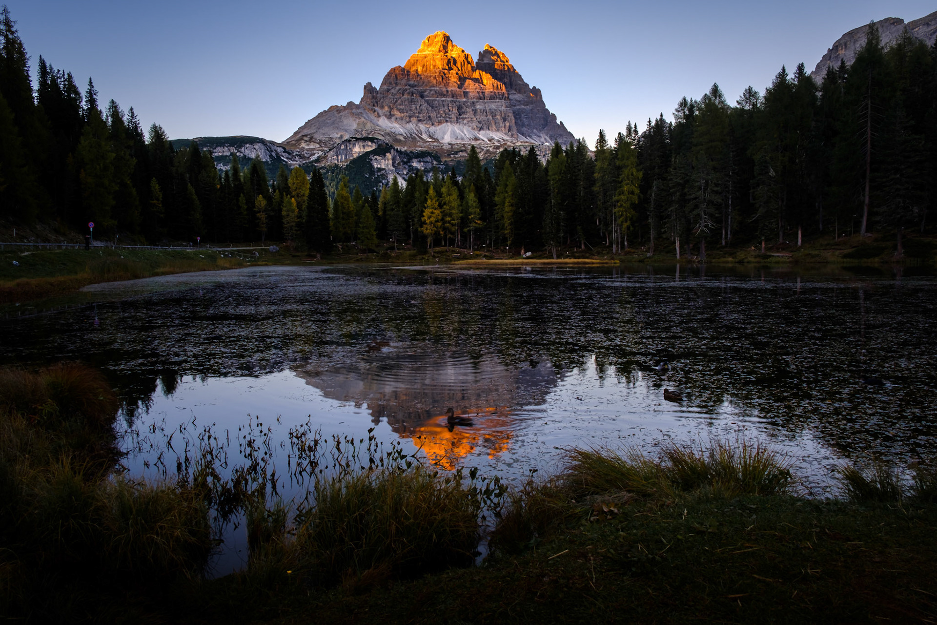 "the difference between a good life and a bad life is how well you walk through the fire" - carl jung