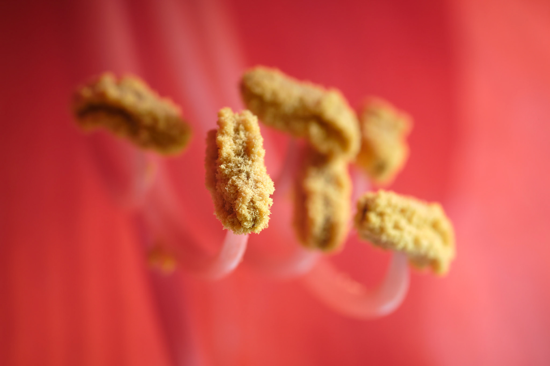 "everything takes time. bees have to move very fast to stay still."- david foster wallace,