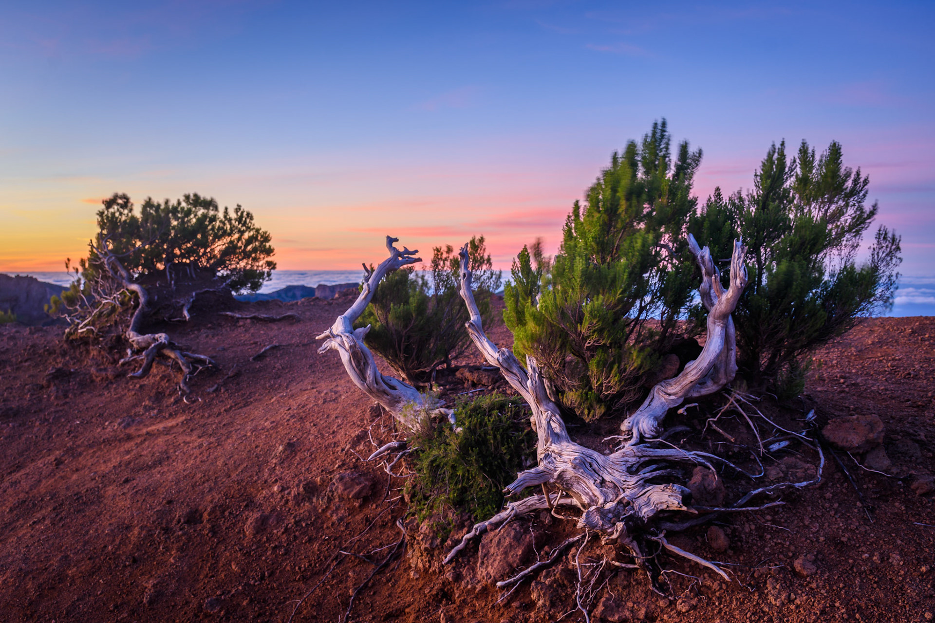 "may your trails be crooked, winding, lonesome, dangerous, leading to the most amazing view. may your mountains rise into and above the clouds." - edward abbey
