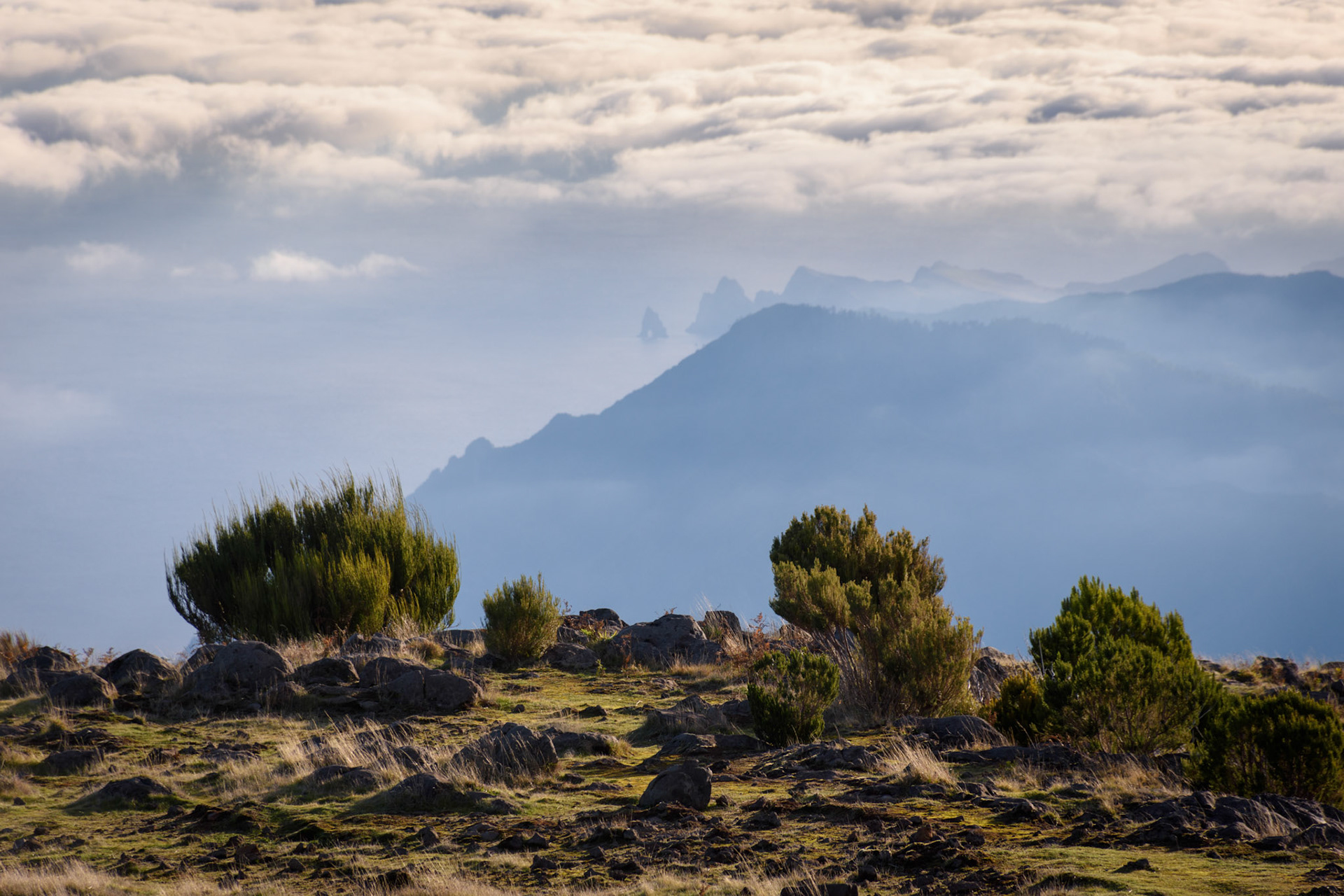 pico ruivo | madeira