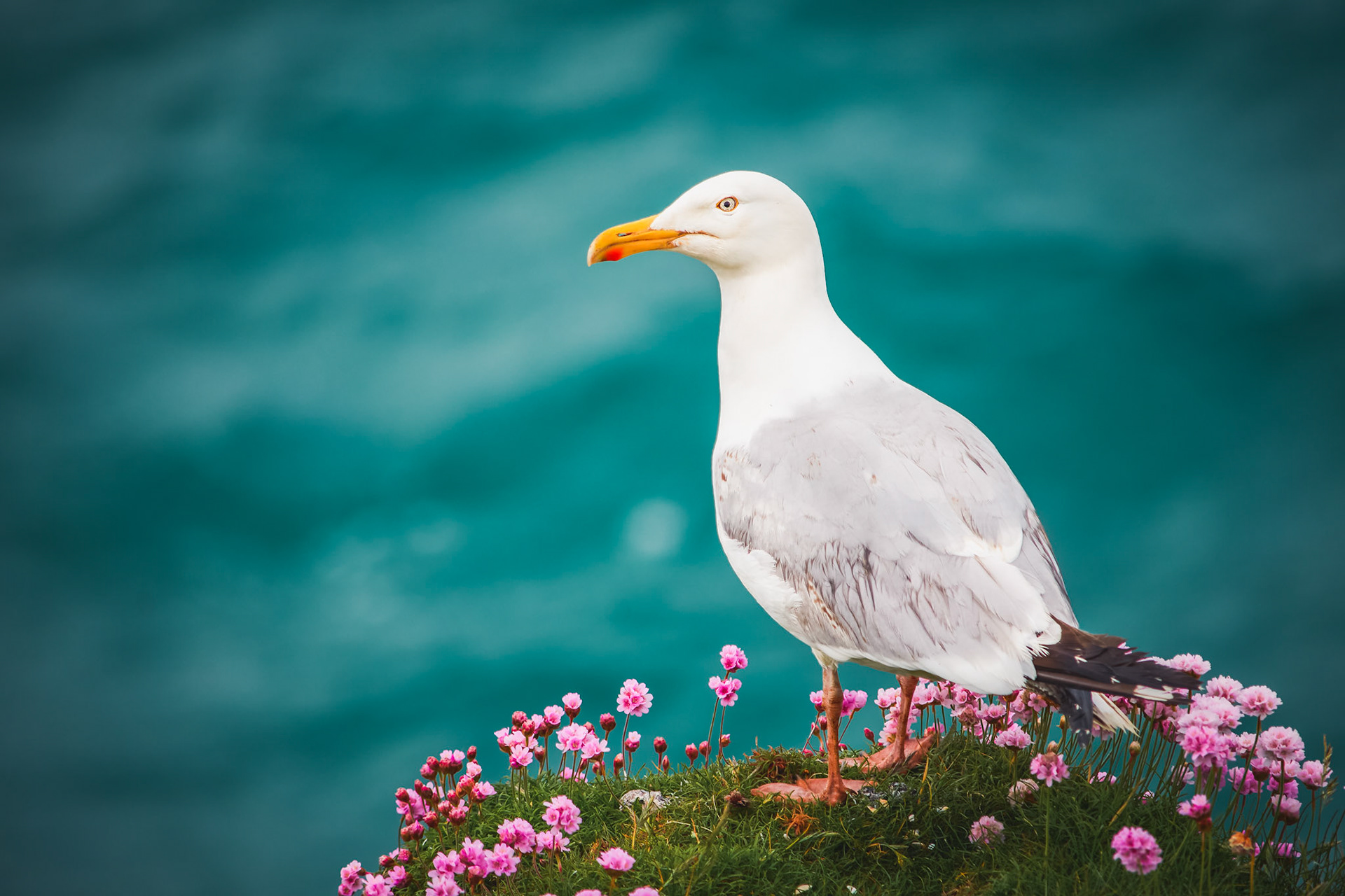 "i want to stand as close to the edge as i can without going over. out on the edge you see all the kinds of things you can't see from the center." - kurt vonnegut