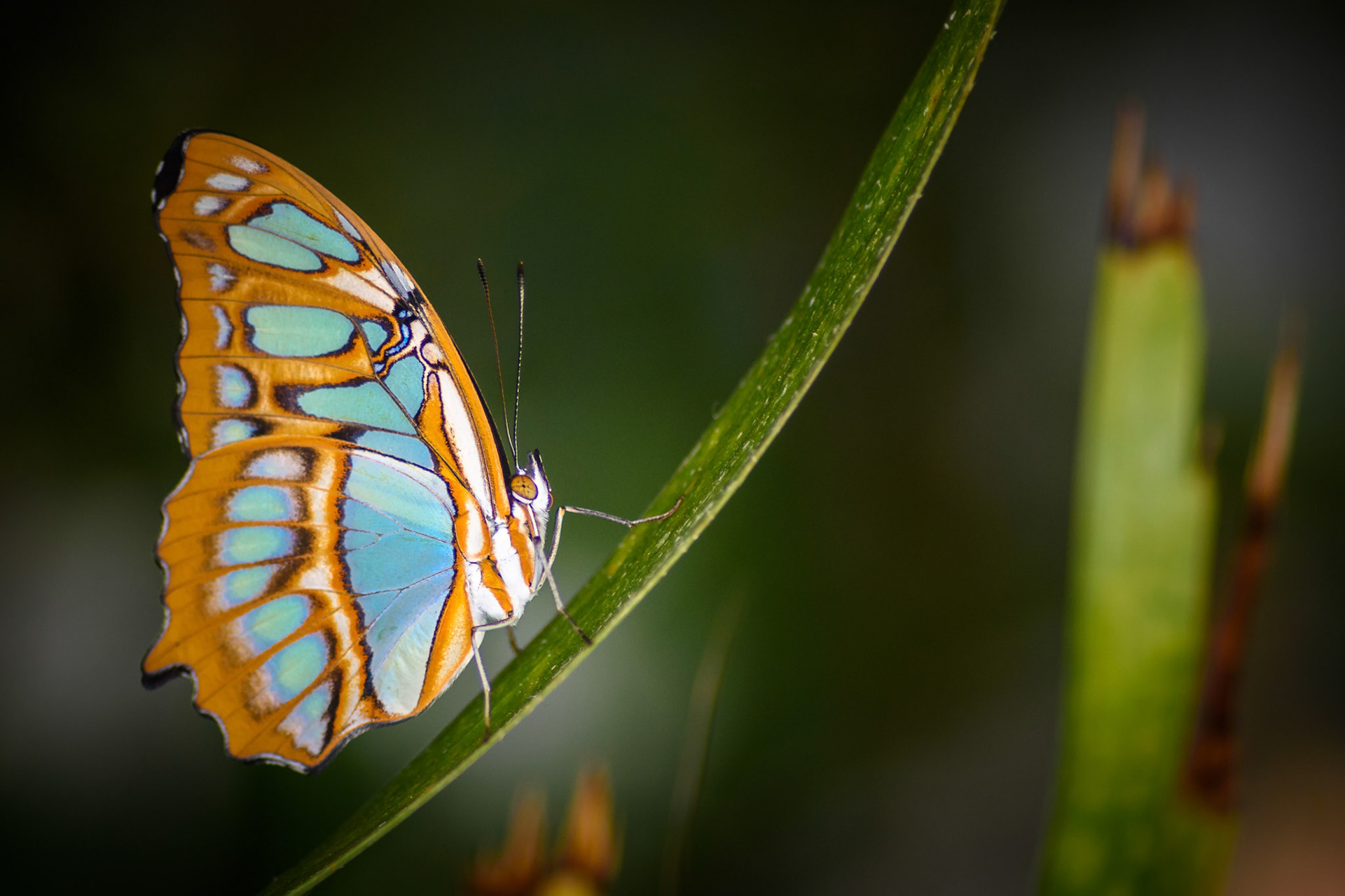 "to wish a life without stairs, without hills and mountains is to wish a dim life without the joy of rising with our own efforts!"- mehmet murat ildan