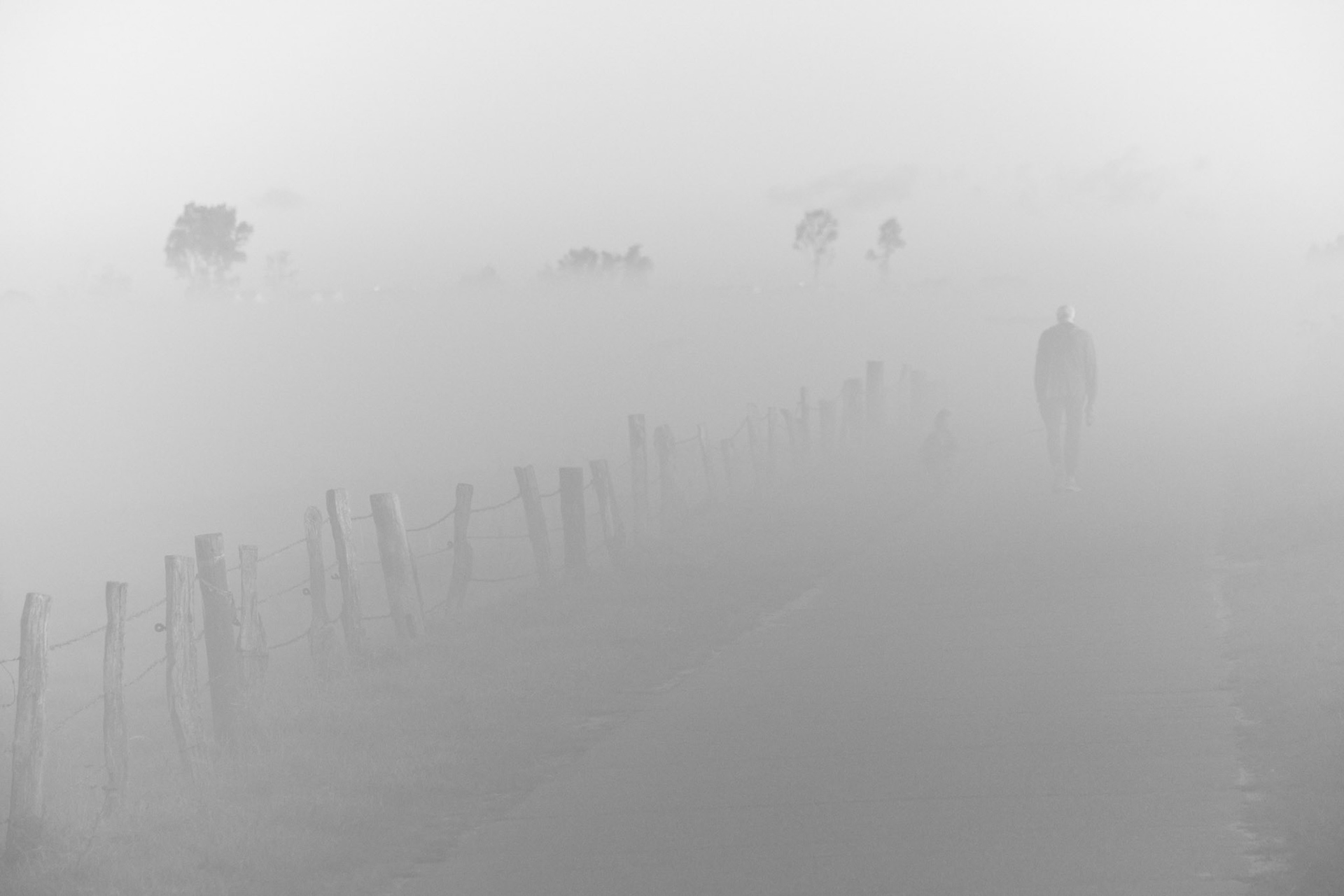 "The fog comes on little cat feet. It sits looking over the harbor and city on silent haunches and then moves on." - Carl Sandburg