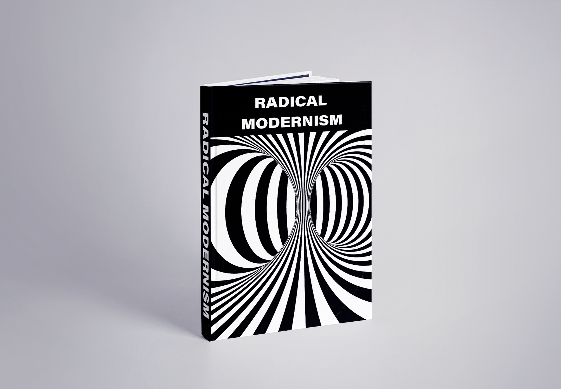 Radical Modernism Hardcover