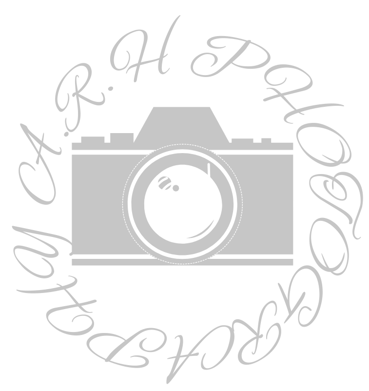 ARHPhotography