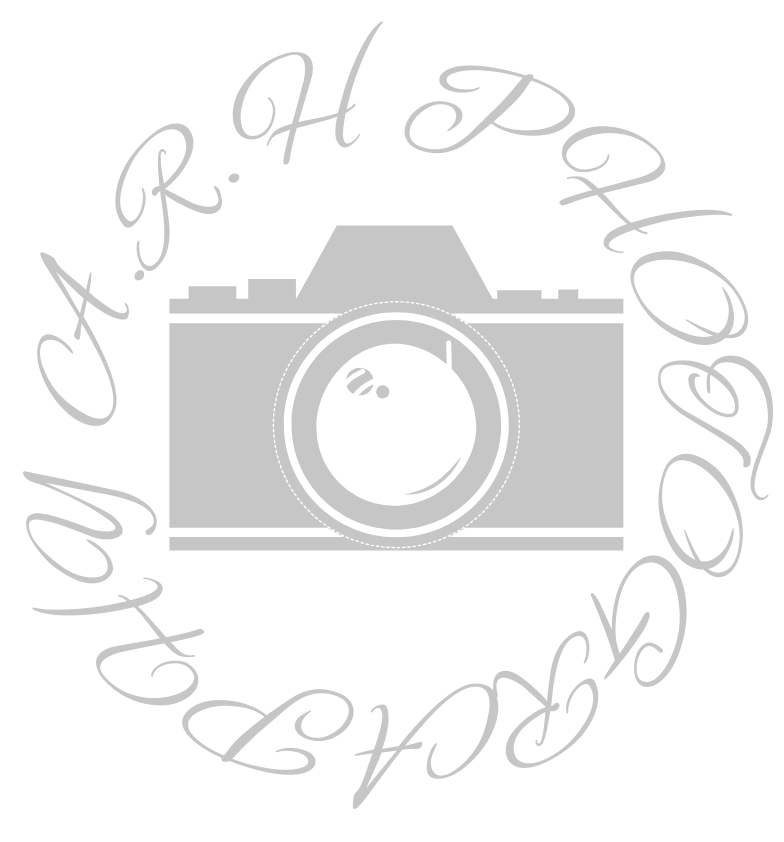 ARHPhotography