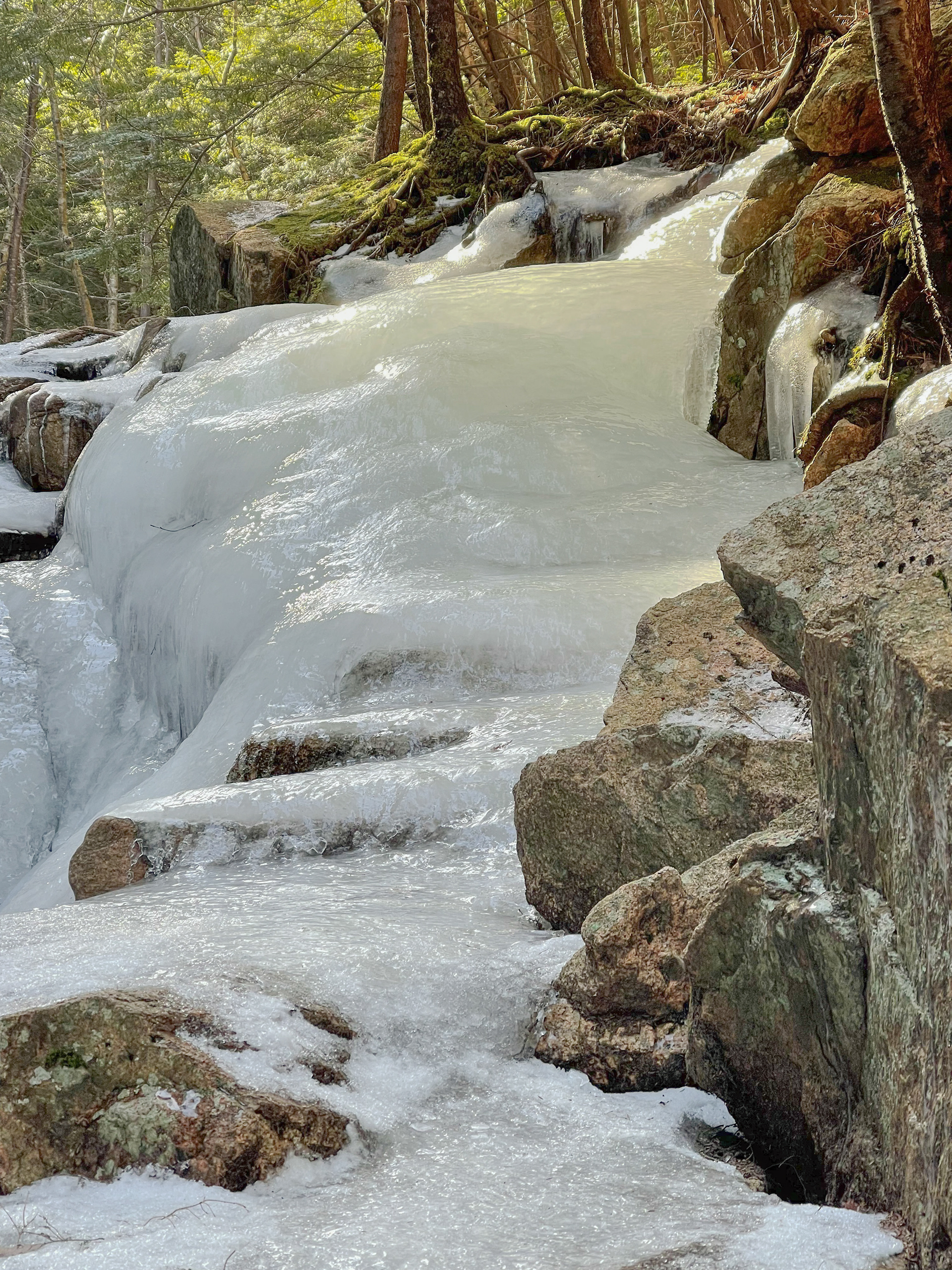 Let's re-think this - I want to climb Cadillac Mountain idea.