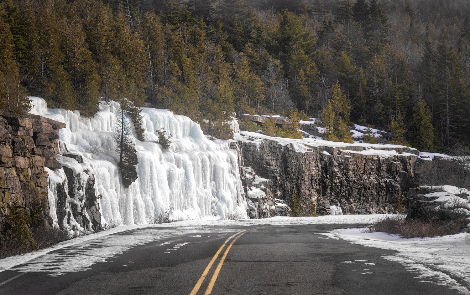 The marvels of nature.