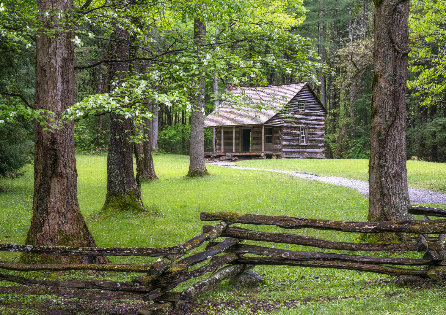 Carter Shield's Cabin