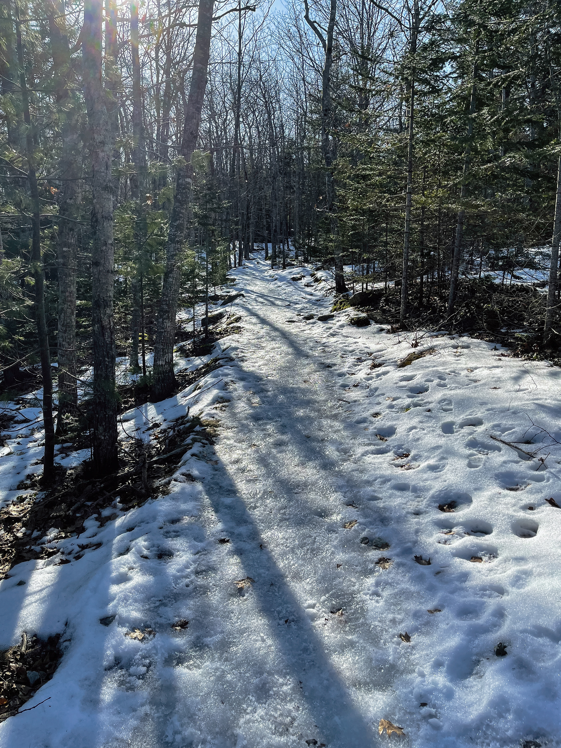 Beginning of Kebo-Brook Trail.