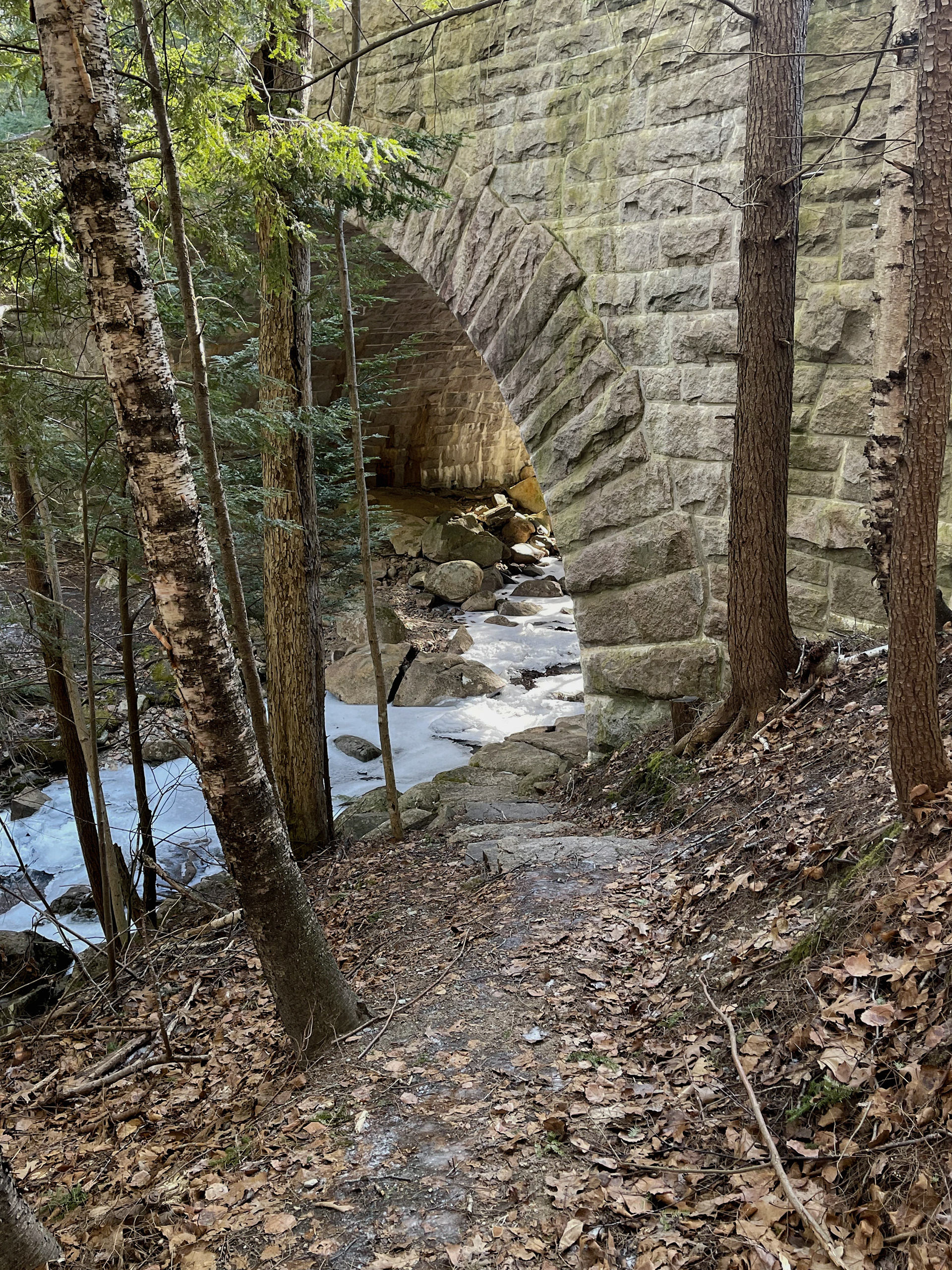 Crossing under the closed Park Loop Road to start Gorge Path.
