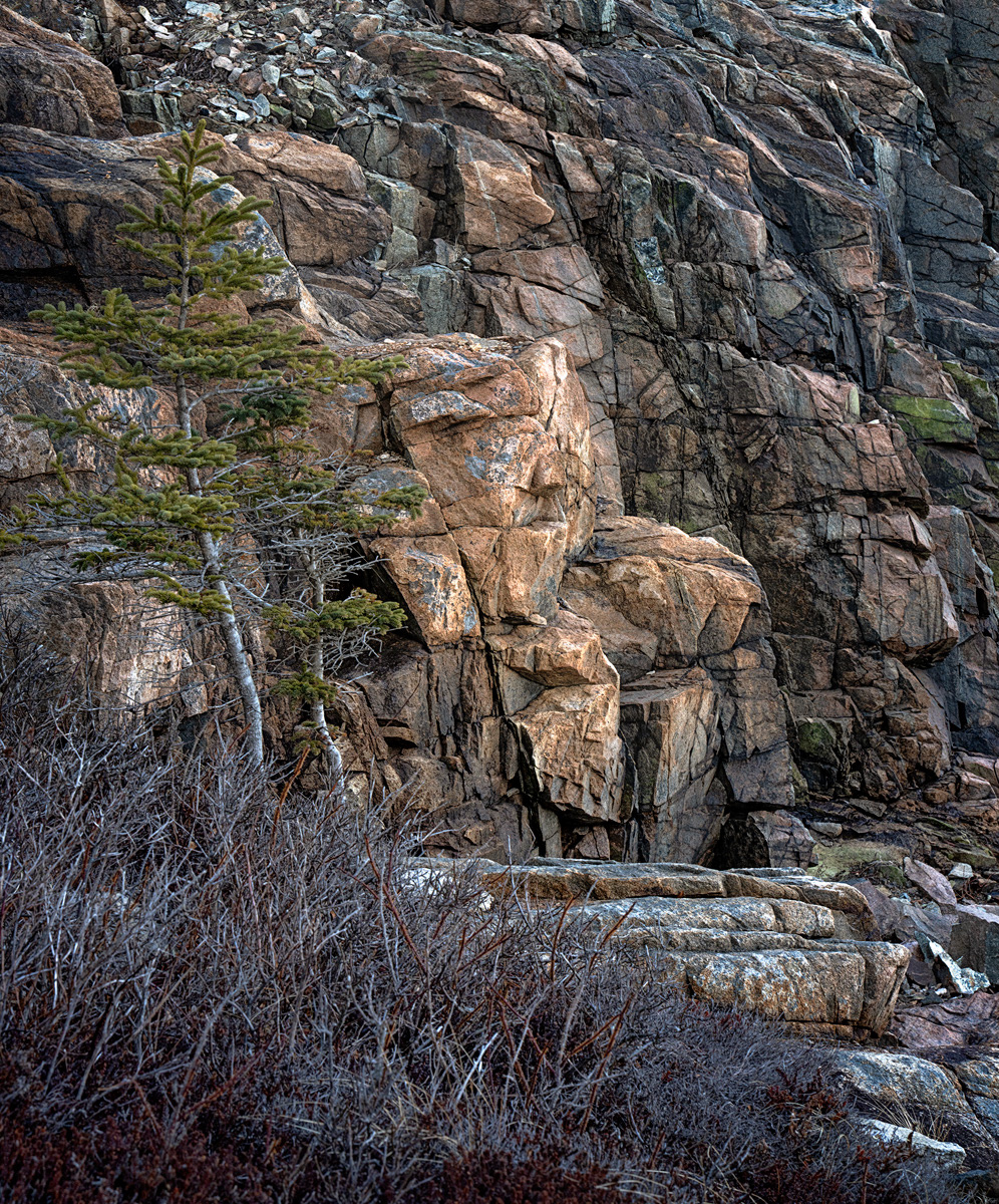 Otter Cliff