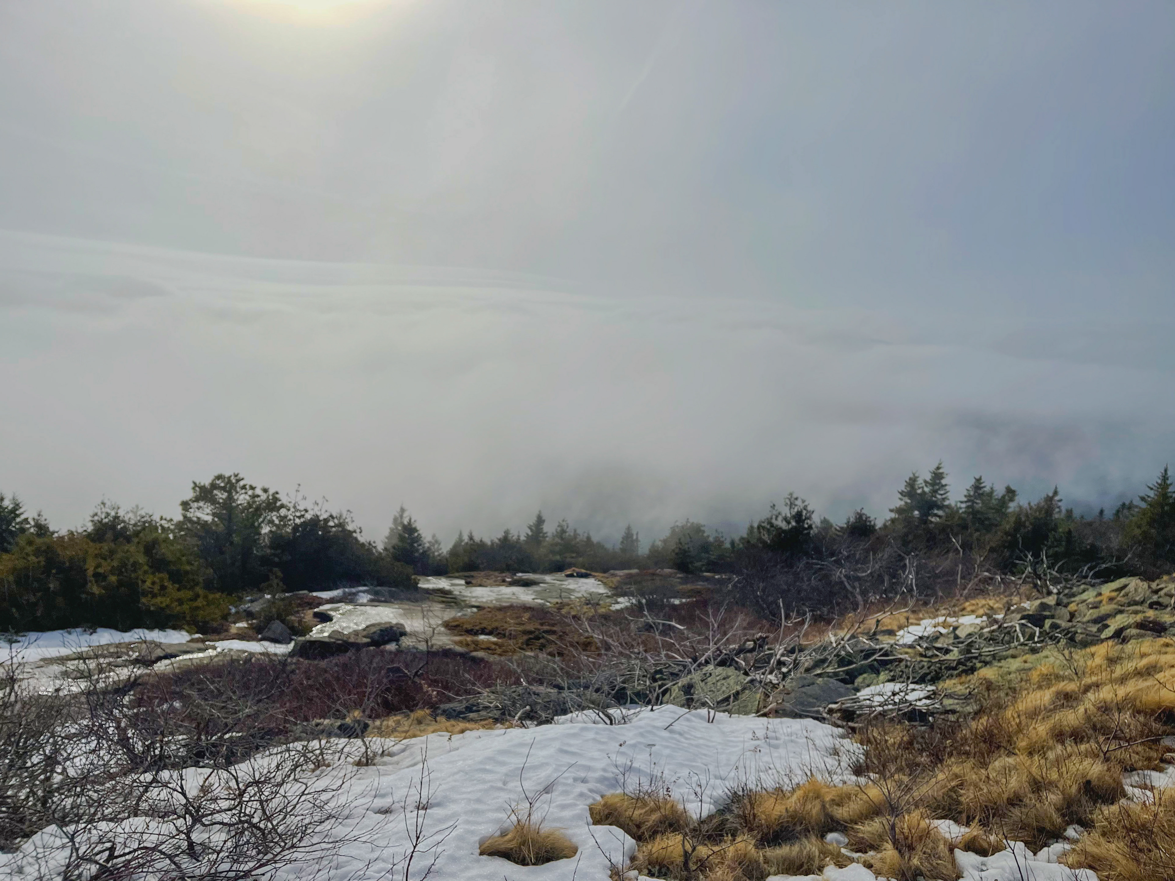 Made it.  Jumping up and down!!!