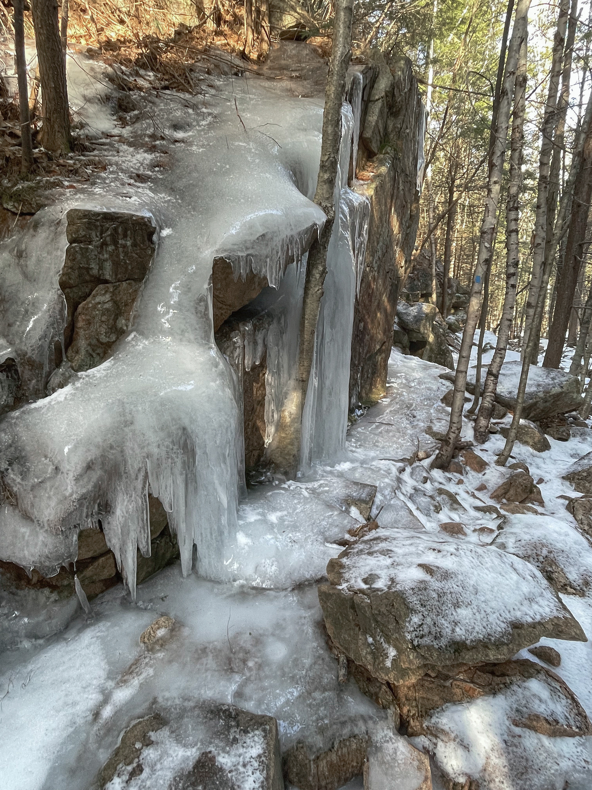 Couldn't help but admire the beauty.