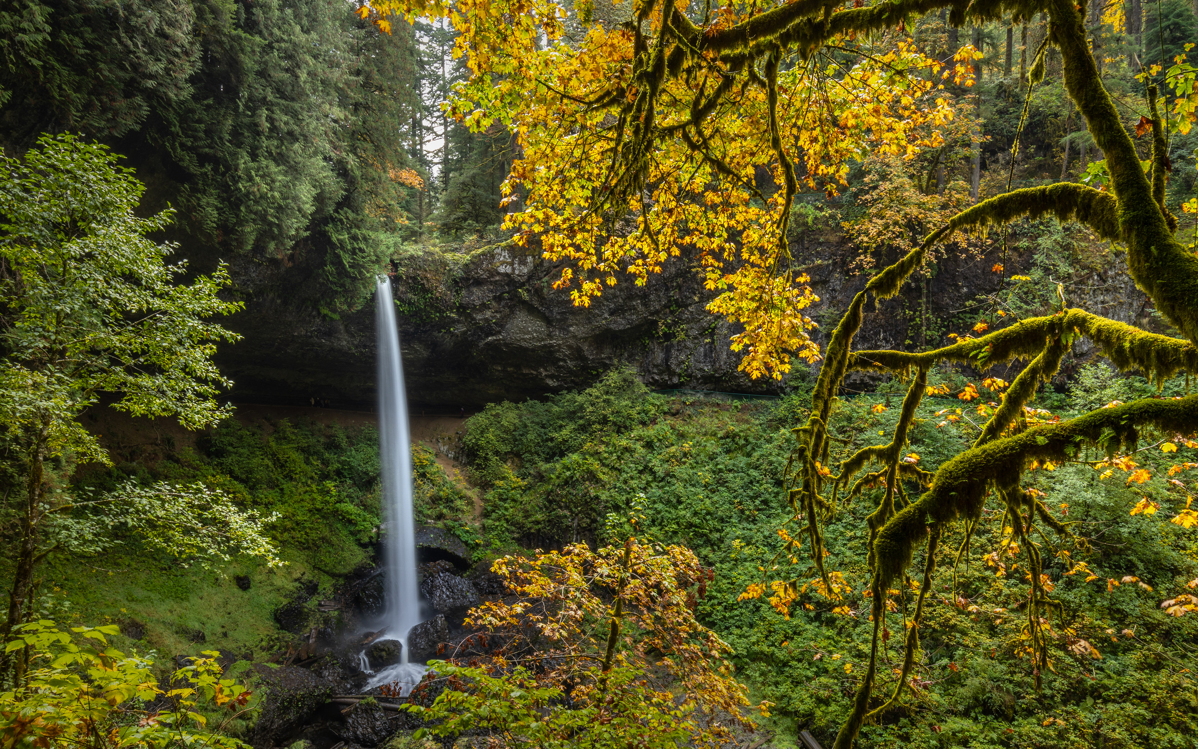 Silver Falls State Park, OR