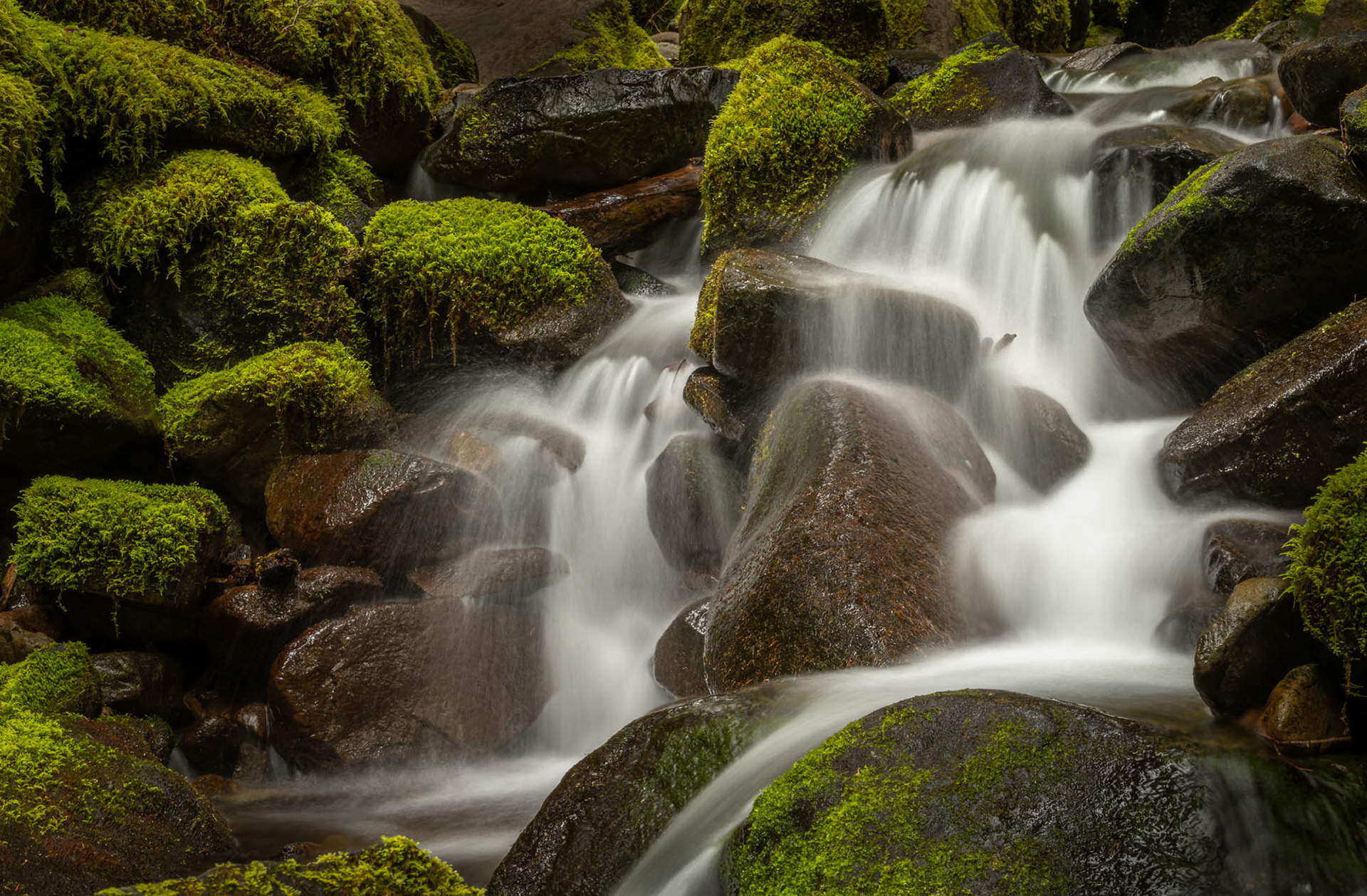 Olympic National Park, WA