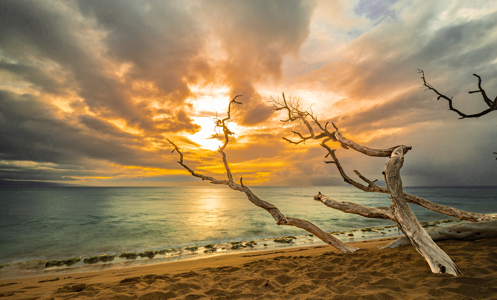 Maui, HI