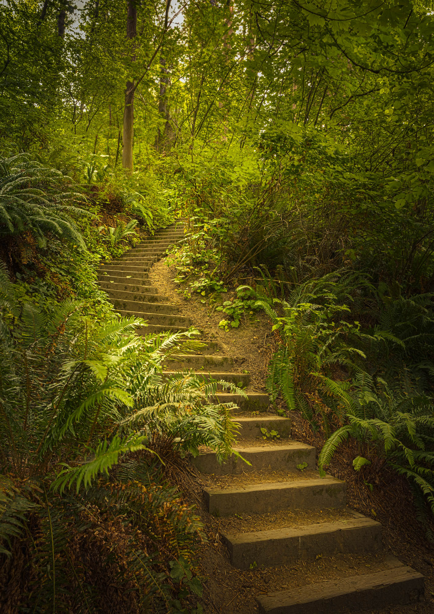 Lincoln Park, Seattle, WA