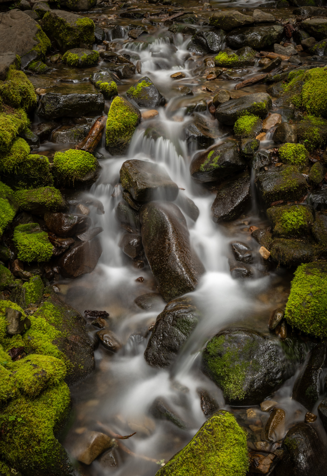 Olympic National Park, WA