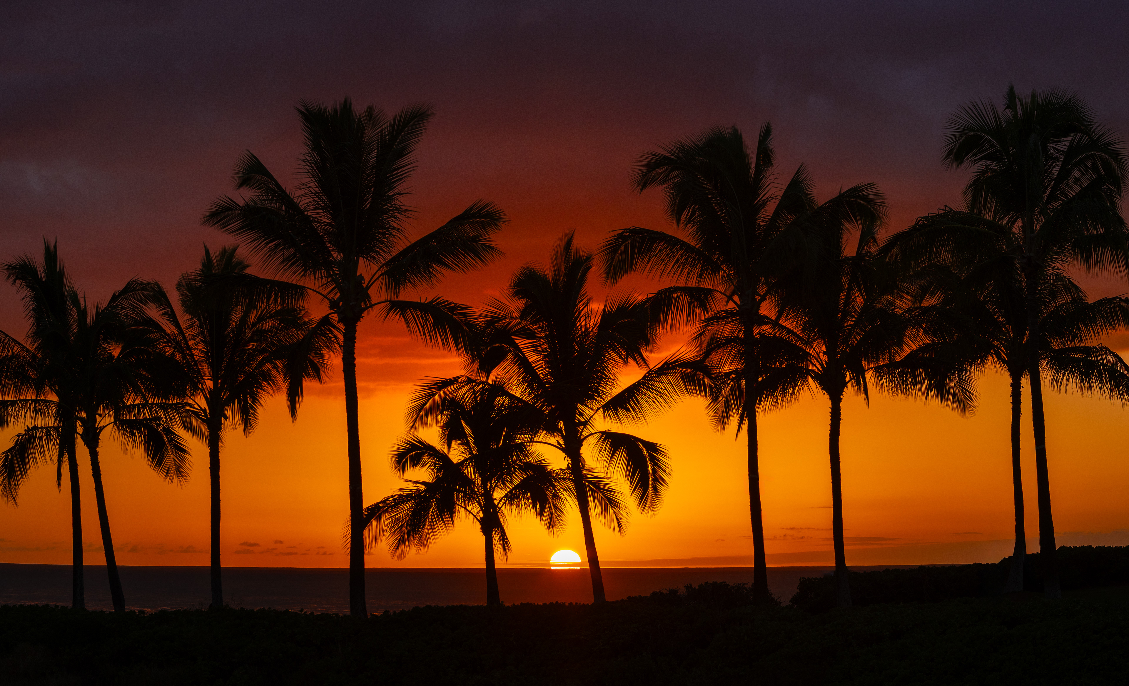 Ko Oalina, O'ahu, HI