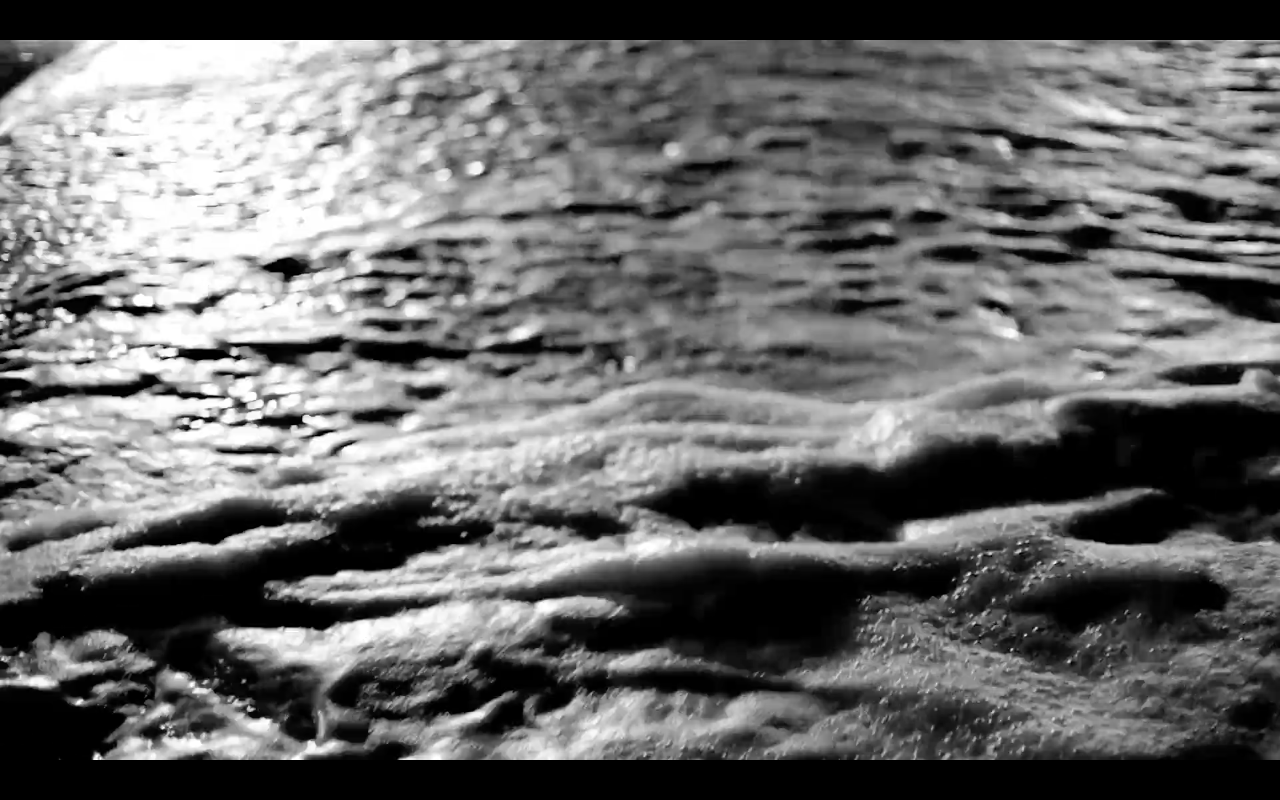 Camila Fontenele | Eu, Baleia | 2018 | 3:59