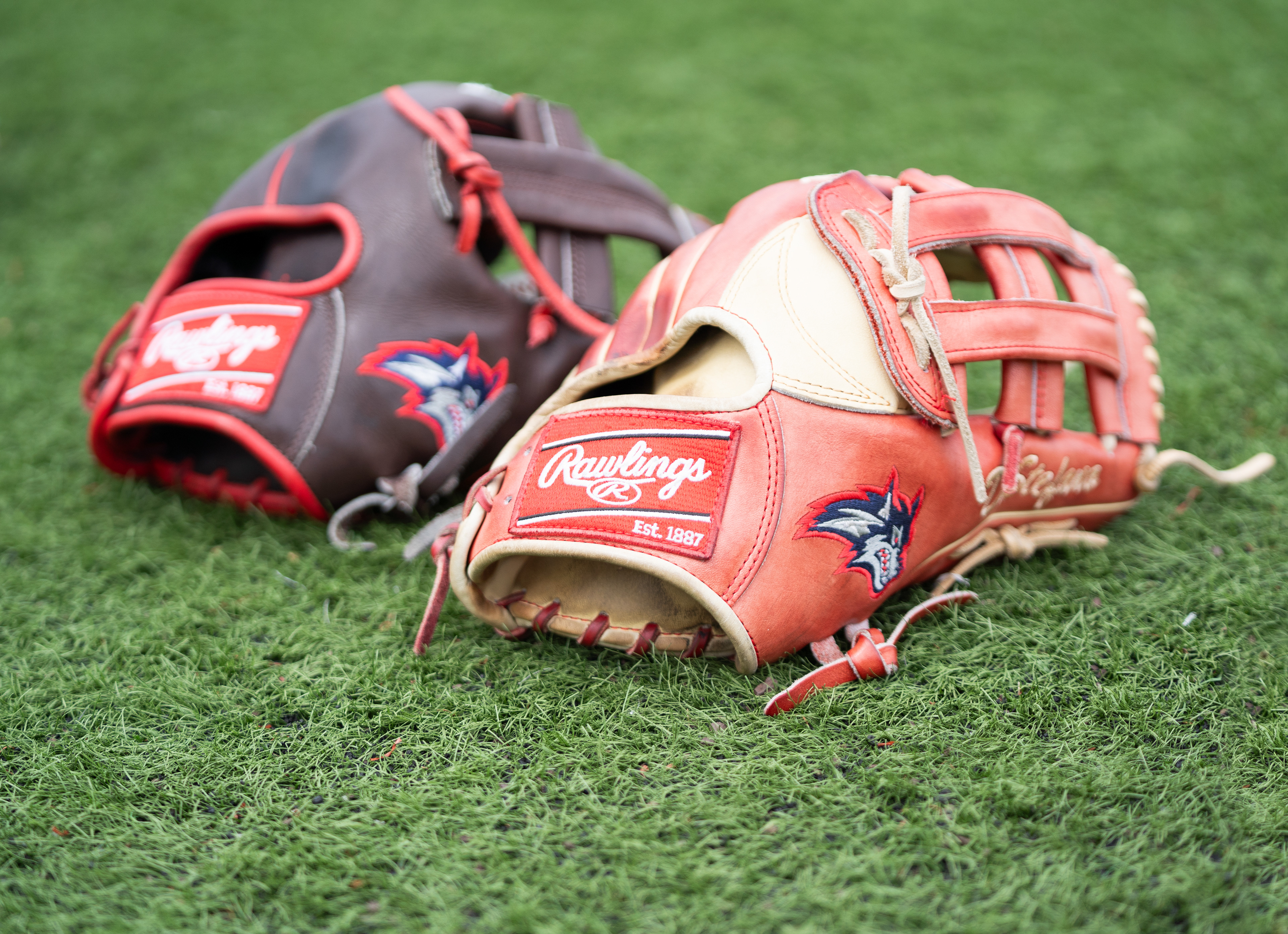 A baseball players glove is sacred to them and usually referred to as leather, these leathers are a beaut - Stony Brook, NY 4/19/2024