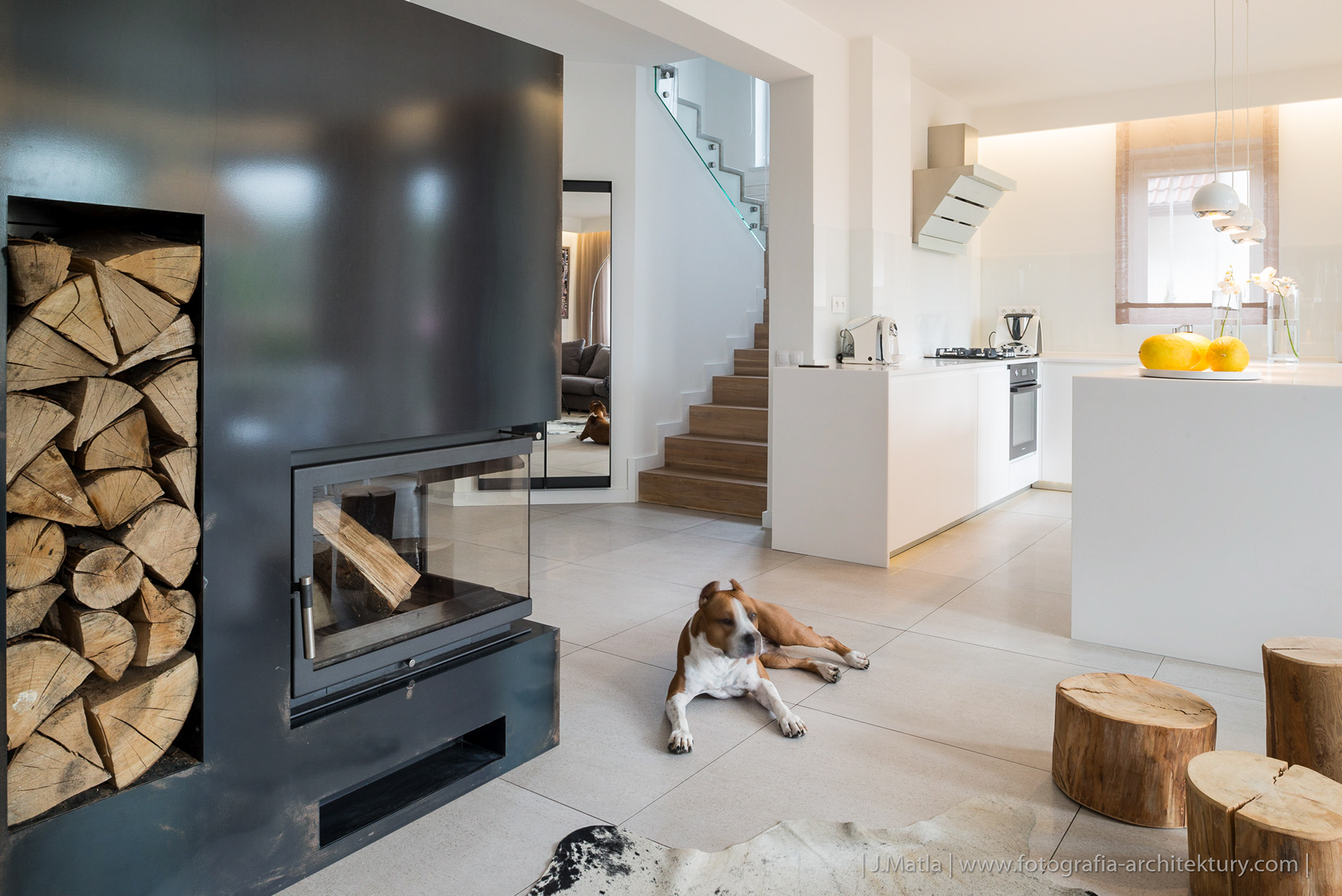 Dom Prywatny, Kraków. Anke Design Studio