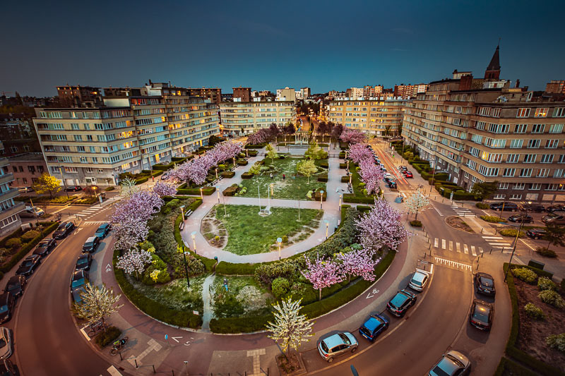 Image délicate pour caisson lumineux