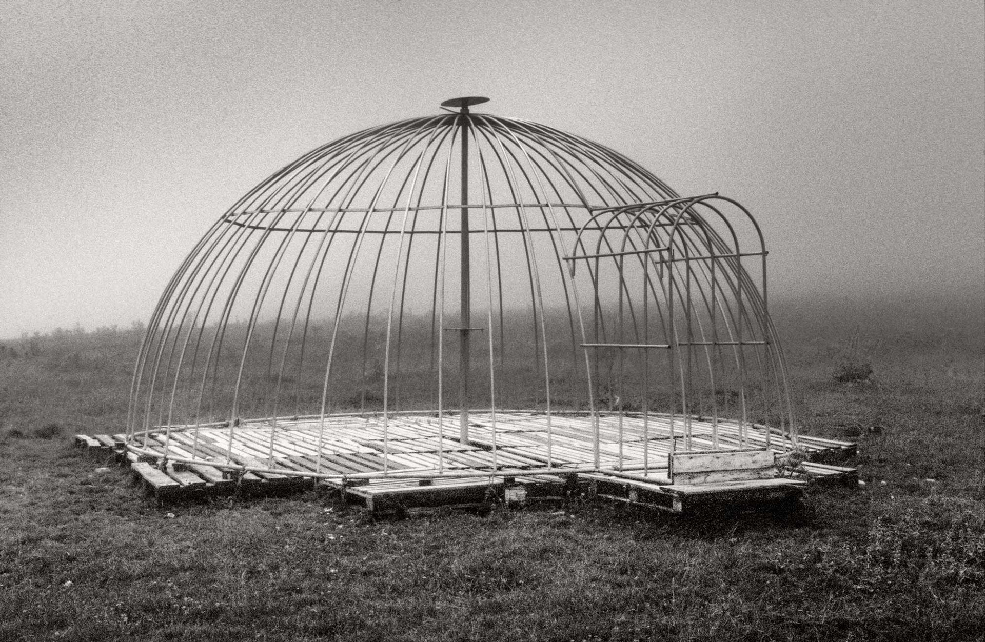CAGE