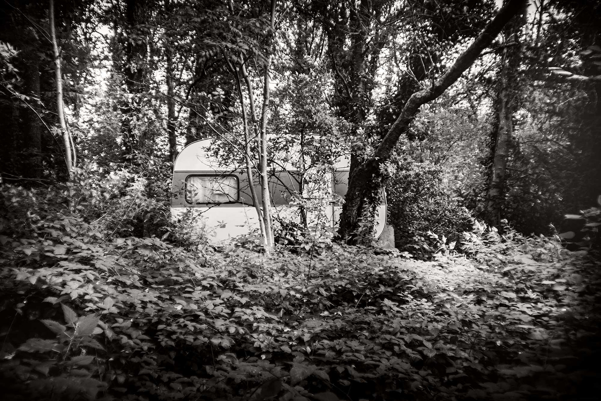 CARAVAN