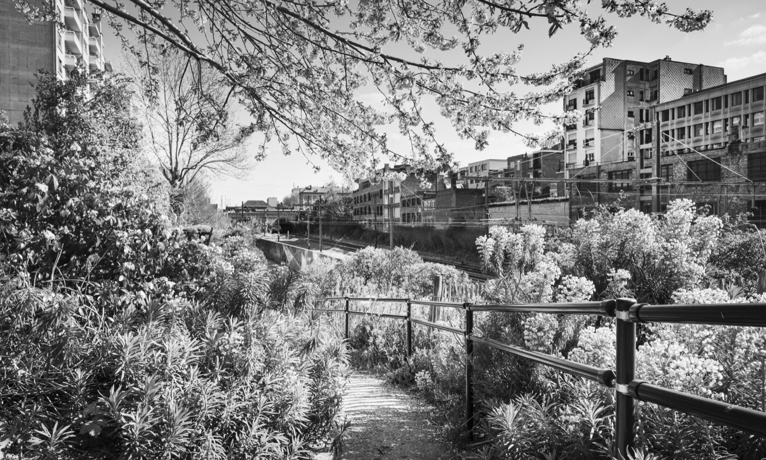 Jardin Participatif Av. Nouvelle