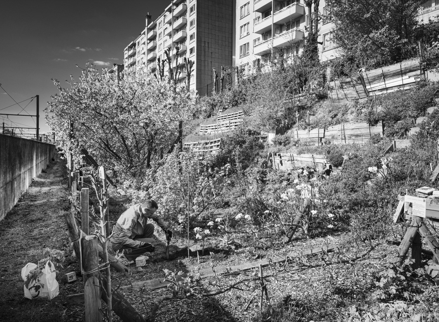 Jardin Participatif Av. Nouvelle