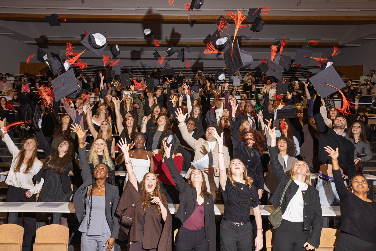 Diplomation  - UCLouvain St Michel