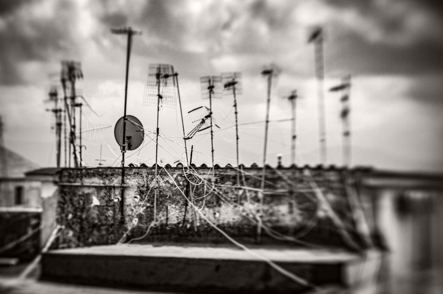 SIGNAL